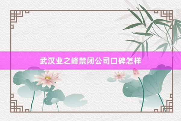 武汉业之峰禁闭公司口碑怎样